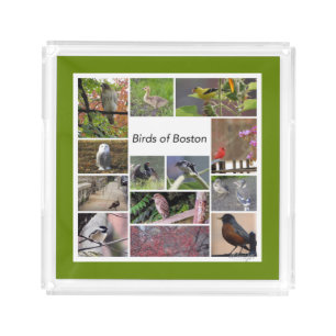 Birds of Boston Photo Collage Acrylic Tray