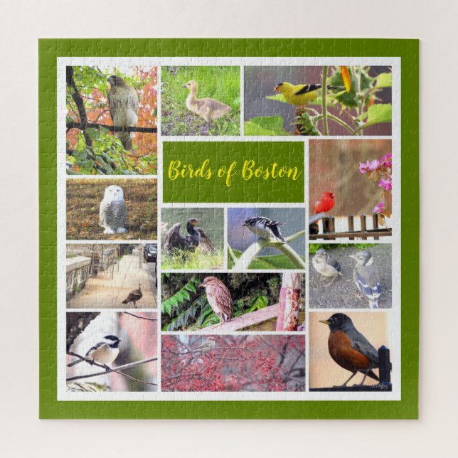 Birds of Boston Photo Collage Jigsaw Puzzle (Vertical)