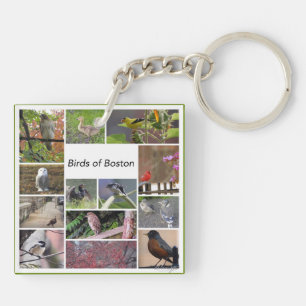 Birds of Boston Photo Collage Keychain
