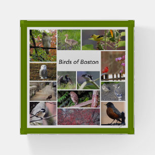 Birds of Boston Photo Collage Paperweight
