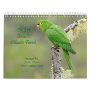 Birds of Brazil's Atlantic Forest Calendar