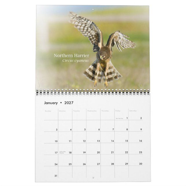 Birds of California 2010 Calendar (Jan 2027)