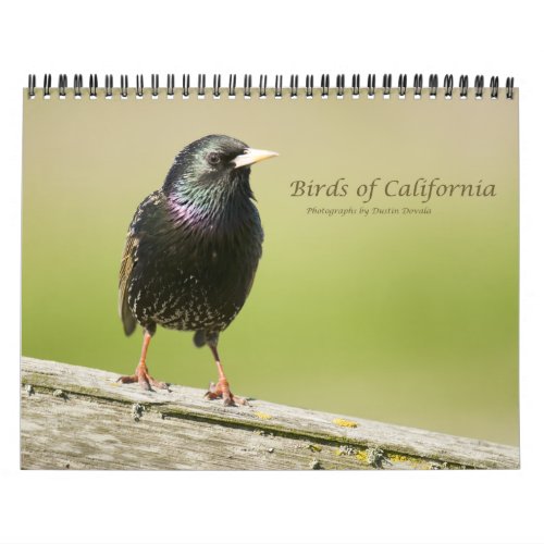 Birds of California Calendar