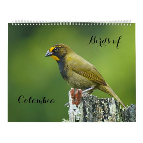 Birds of Colombia Calendar