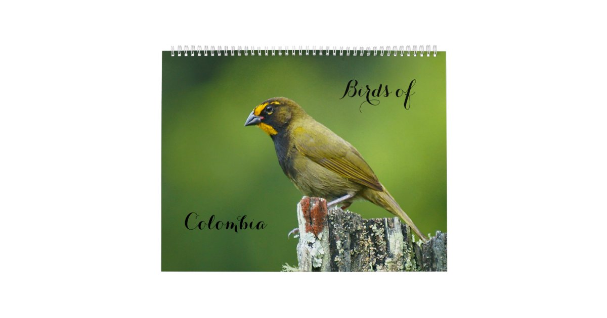 BIRD LOVERS BIRD WATCHERS WATERCOLOR 2024 MINI MAGNETIC CALENDAR