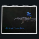 Birds of Costa Rica Calendar<br><div class="desc">Birds of Costa Rica 2026 Calendar</div>