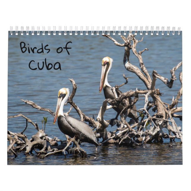 Birds of Cuba Calendar (Cover)