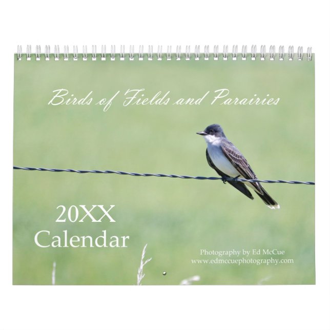 Birds of Fields and Prairies Calendar (Cover)