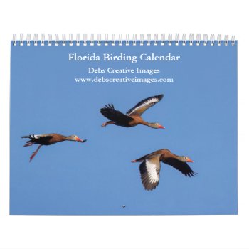Birds Of Florida 2024 Calendar by debscreative at Zazzle