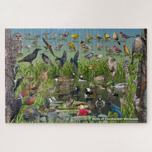 Birds of Freshwater Wetlands Jigsaw Puzzle