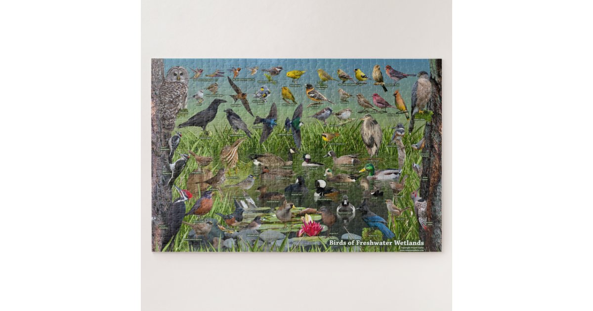 Birds of Freshwater Wetlands Jigsaw Puzzle | Zazzle