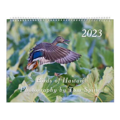 Birds of Hawaii _ 2023 Calendar