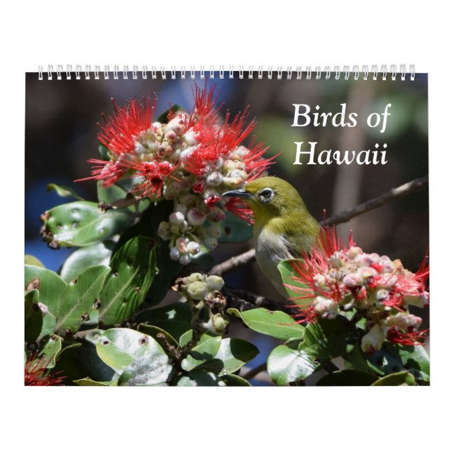 Birds of Hawaii Calendar (Cover)