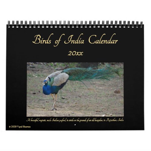 Birds of India Nature Wildlife Photography 2024_25 Calendar