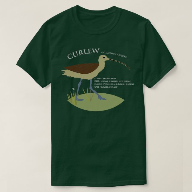 Birds of Ireland Curlew T-Shirt (Design Front)