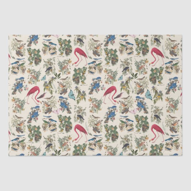 Birds of John James Audubon Tissue Paper (Front)