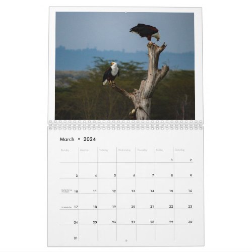 Birds of Kenya _ Lake Naivasha Calendar