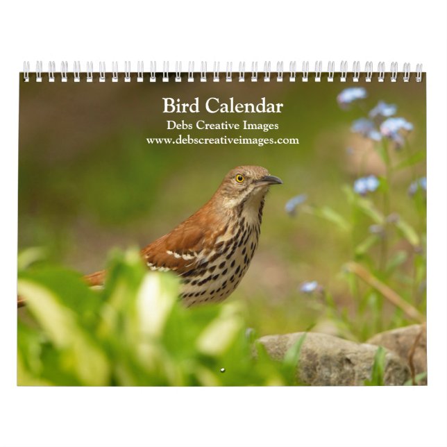Birds of Many Feathers 2026 Calendar (Cover)