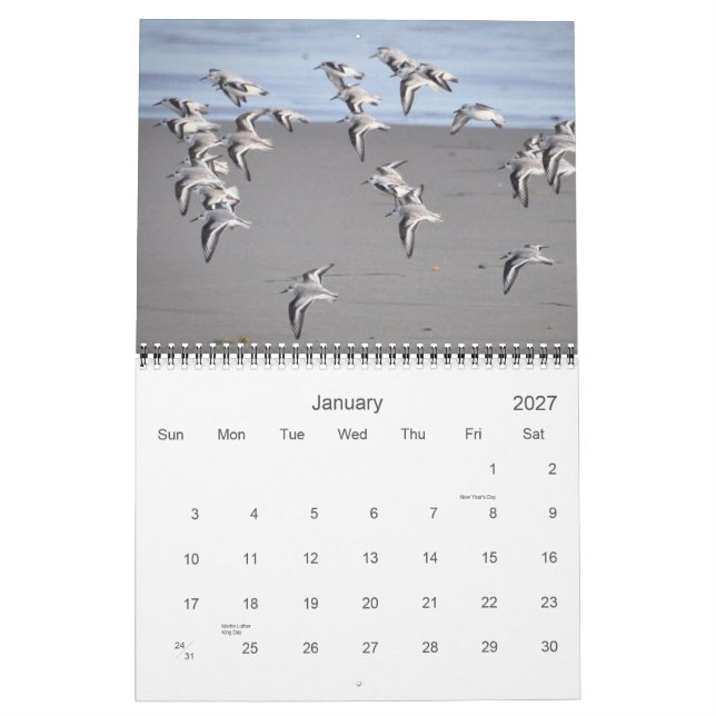 Birds of Mendocino Calendar (Jan 2027)