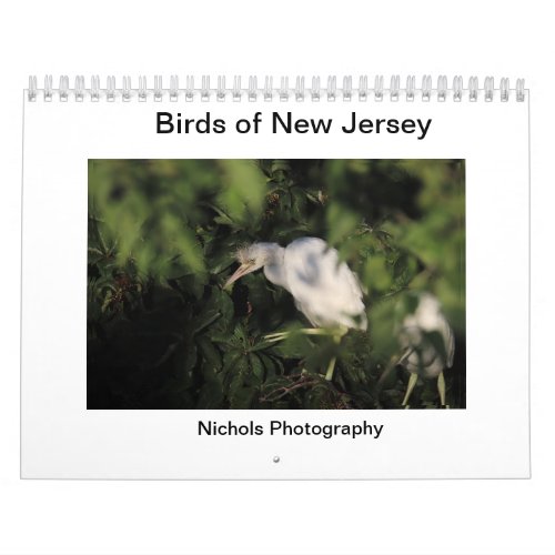 Birds of New Jersey Calendar