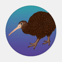 Birds of New Zealand