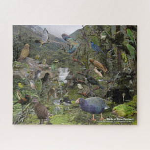 Birds of New Zealand Puzzle