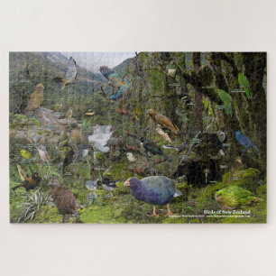 Birds of New Zealand puzzle