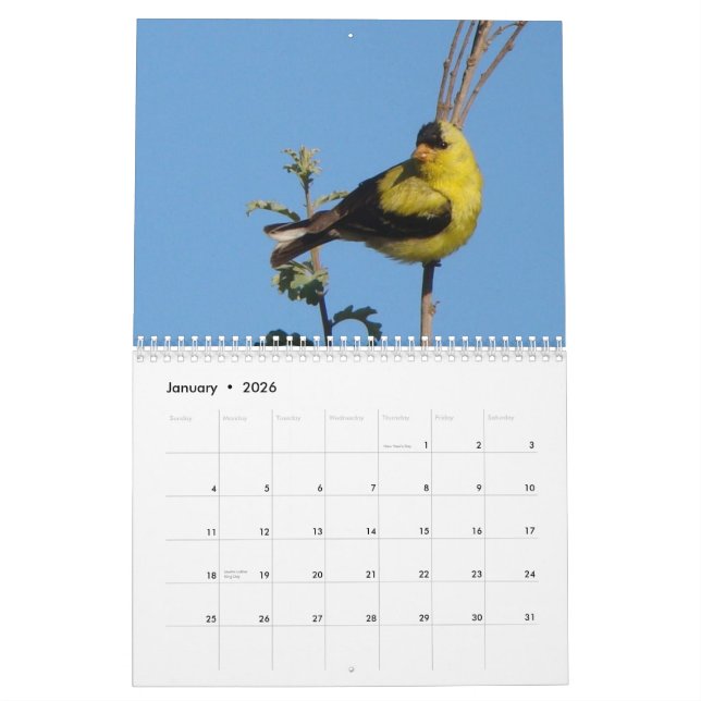 Birds of North America 2011 Calendar (Jan 2026)