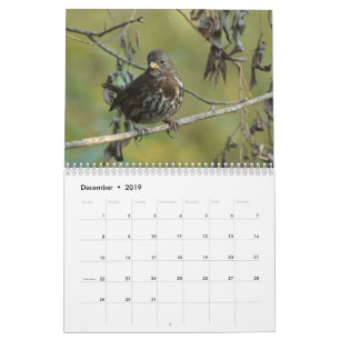 Birds of North America 2019 calendar