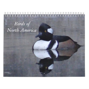 Birds of North America calandar Calendar