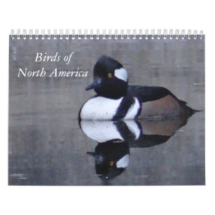 Birds of North America calandar Calendar