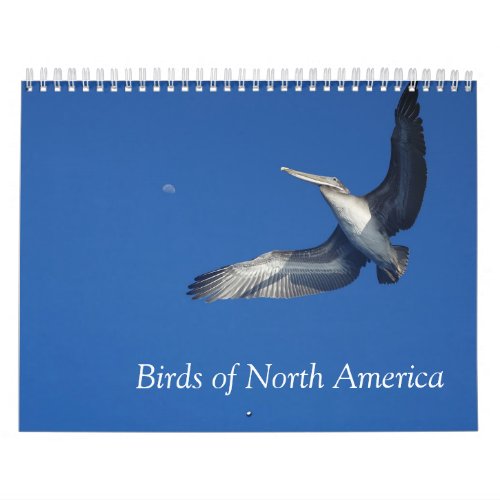 Birds of North America calendar