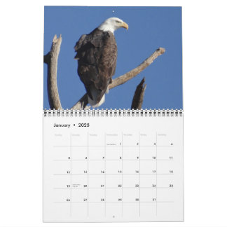 Birds of North America Calendar