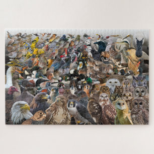 Birds of North America Jigsaw Puzzle