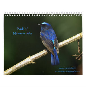 Birds of Northern India Calendar