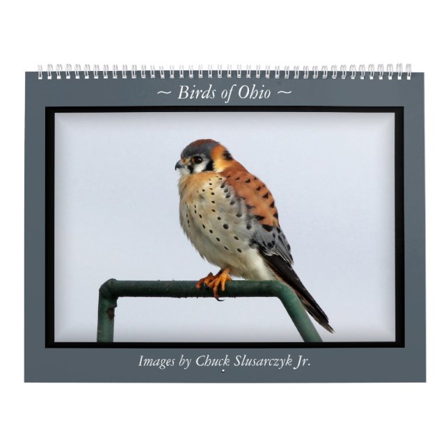 Birds of Ohio Wall Calendar (Cover)