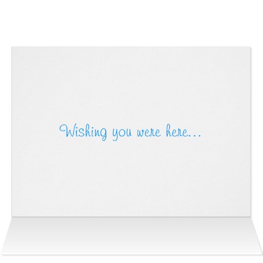 Birds of Paradise (Inside Horizontal (Top))