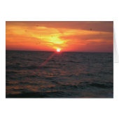 Birds of Paradise (Front Horizontal)