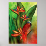 Birds Of Paradise Art Poster/Print Poster