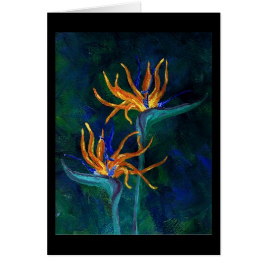 Birds of Paradise Cards (Front)