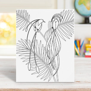 Birds of Paradise Coloring Page Poster