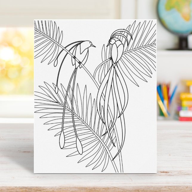 Birds of Paradise Coloring Page Poster (Creator Uploaded)