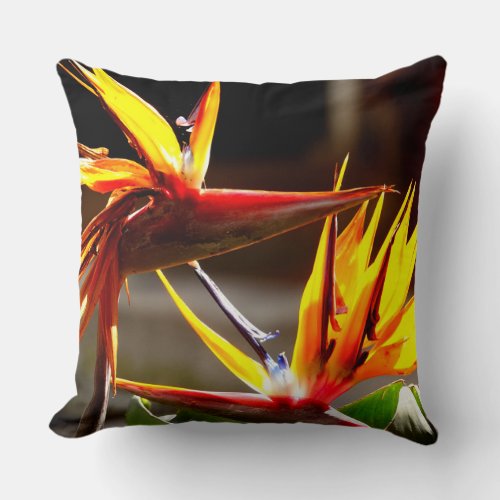 Birds of Paradise  Flower from Mexico Throw Pillow