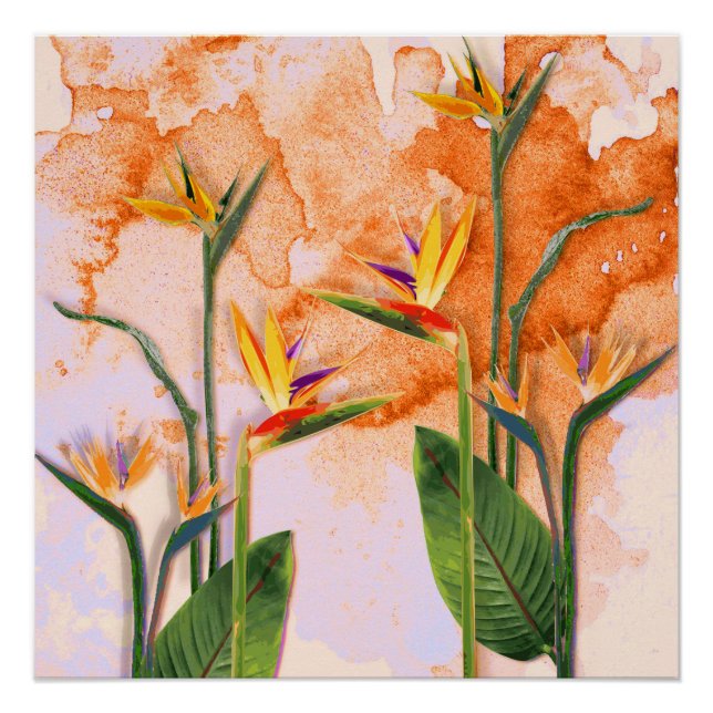 Birds of Paradise in Bloom Poster (Front)