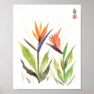 Birds of Paradise in Morning Light Poster