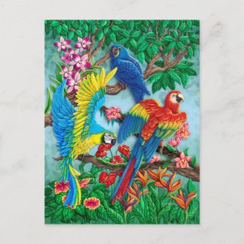 Birds Of Paradise Postcard by gailgastfield at Zazzle