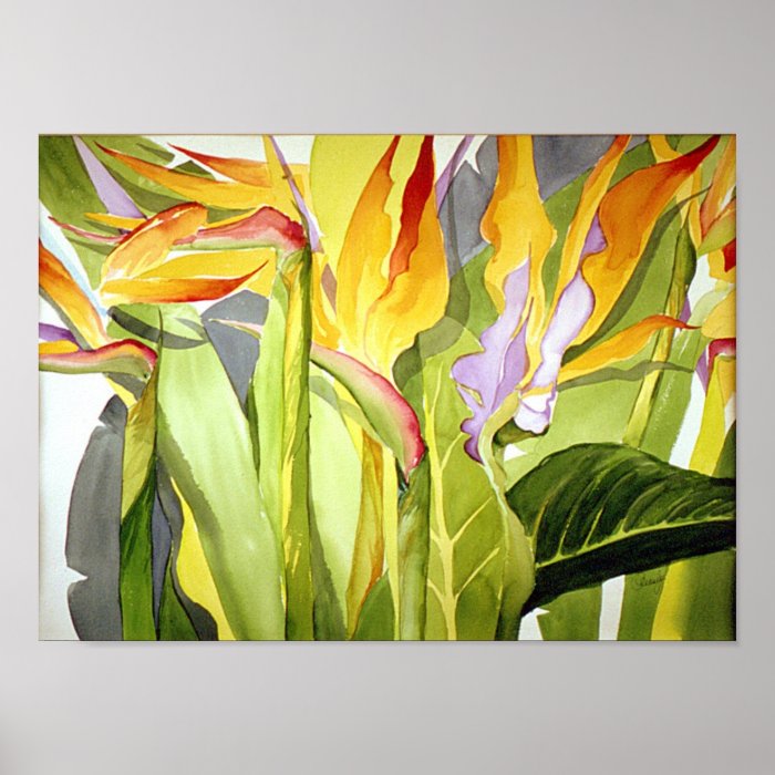 Birds of Paradise   Poster