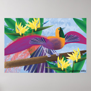 Birds of Paradise Poster