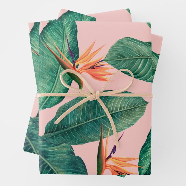 Birds of Paradise Wrapping Paper (In situ)