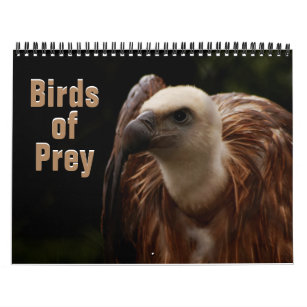 Birds of Prey 2022 Calendar